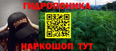 индика Будённовск