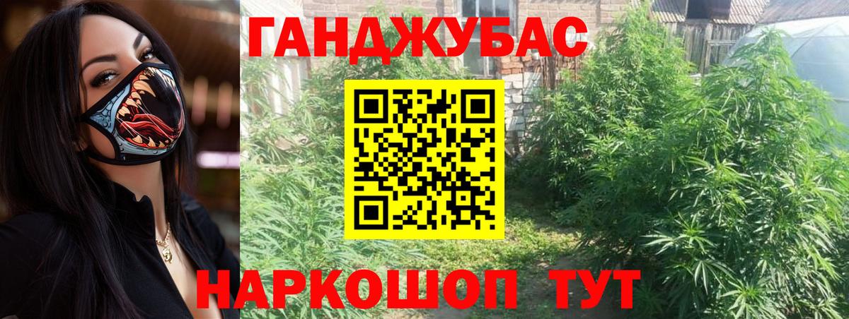 Шишки марихуана семена  Бошки Шишки VHQ  Вход с VPN  Бошки марихуана семена  Прохладный 